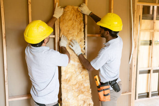 Best Basement Insulation  in Seguin, TX